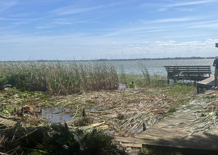 lakefront clearing services by aqua care lake management