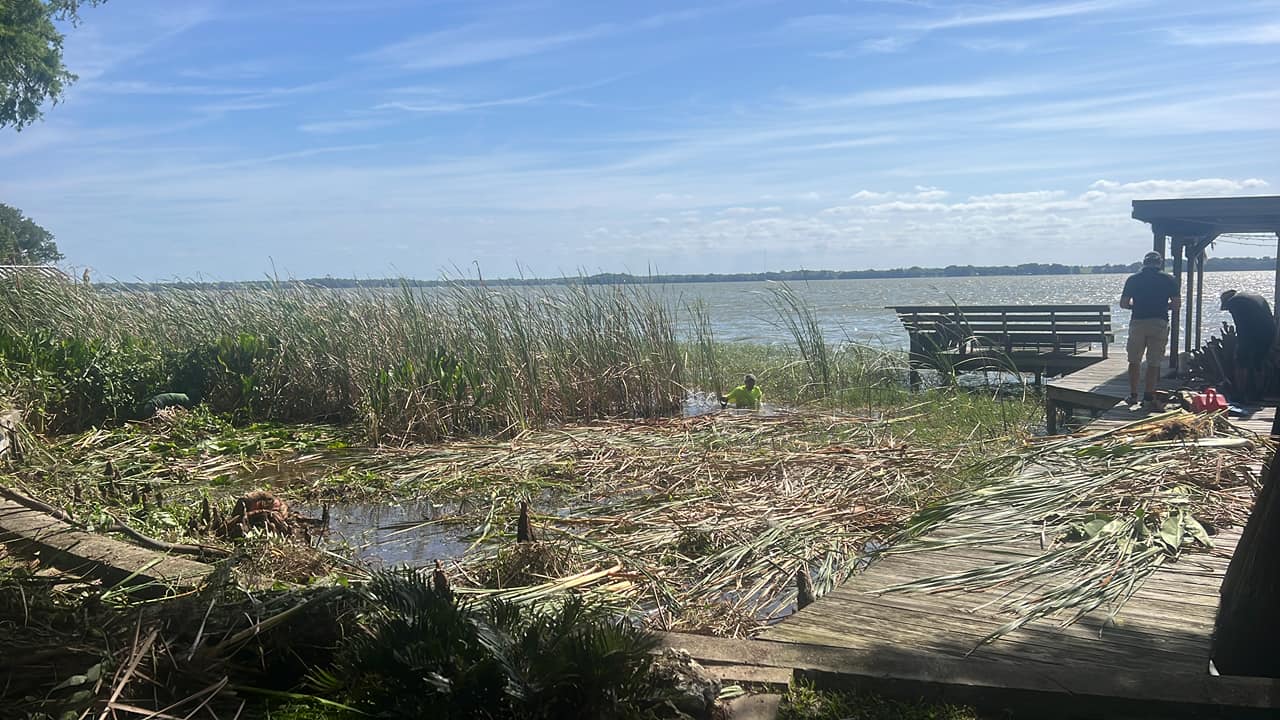 lakefront clearing services by aqua care lake management